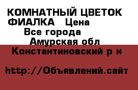 КОМНАТНЫЙ ЦВЕТОК -ФИАЛКА › Цена ­ 1 500 - Все города  »    . Амурская обл.,Константиновский р-н